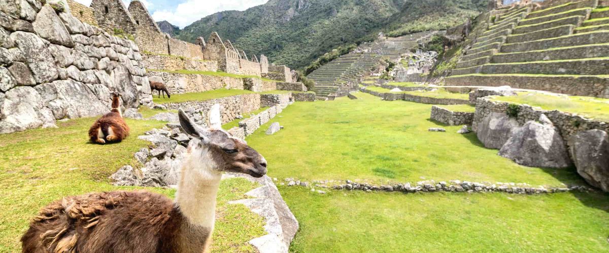 Inca Trail Trek 4 Days