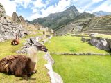 Inca Trail Trek 4 Days