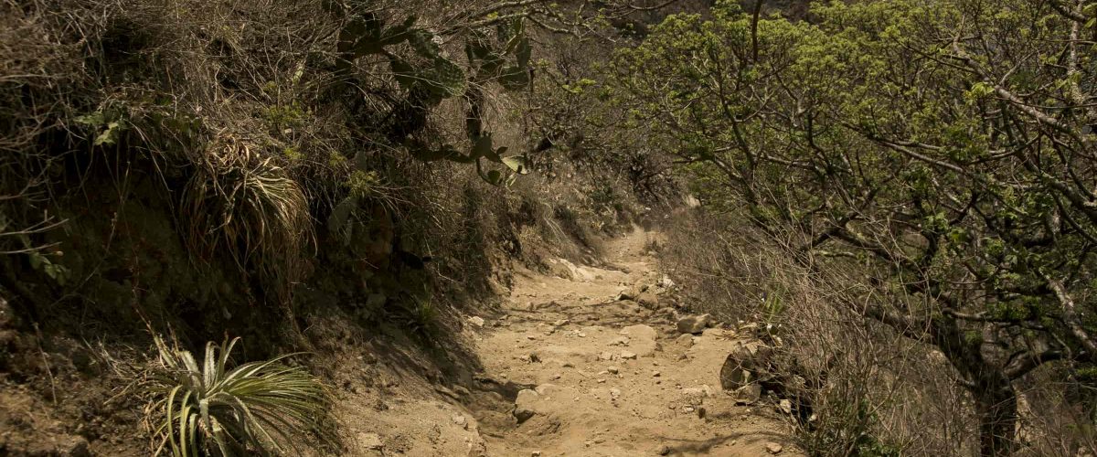 Trek Choquequirao 4 Days / 3 Nights