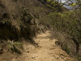 Trek Choquequirao 4 Days / 3 Nights