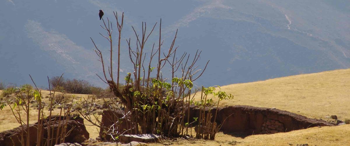 Huchuy Qosqo Trek to Machu Picchu 3 Days