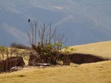 Huchuy Qosqo Trek to Machu Picchu 3 Days