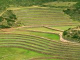 Sacred Valley Tour with Maras Moray