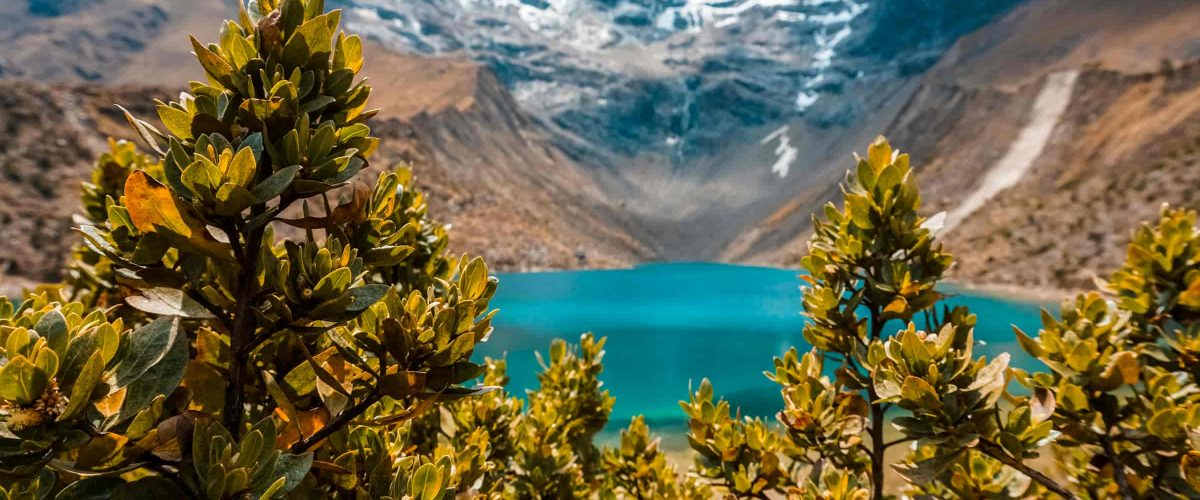 Full-Day Tour to Lake Humantay from Cusco