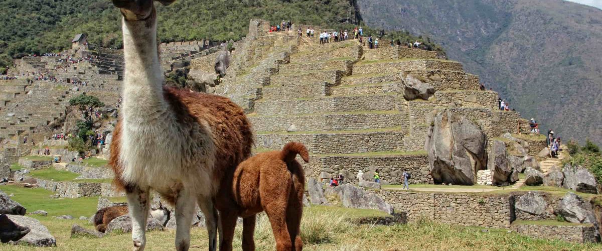 Short Inca Trail 2 days to Machu Picchu
