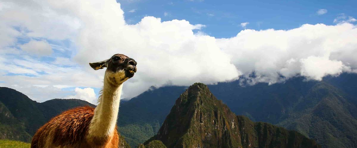 Inca Trail 5 days to Machu Picchu