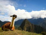 Inca Trail 5 days to Machu Picchu