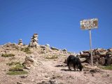 Hike to Rainbow Mountain and Red Valley: A Day Trip from Cusco