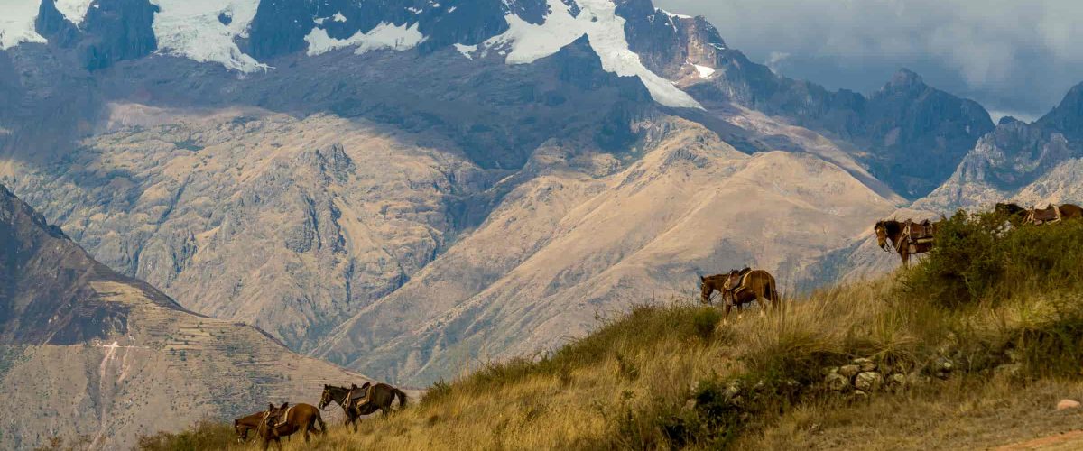 Sacred Valley Full Day Trip: Cusco – Peru